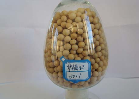 华疆4号