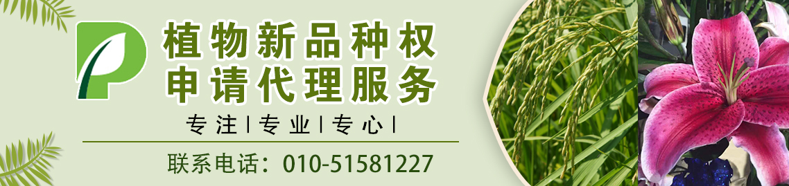 1603446670575695.jpg